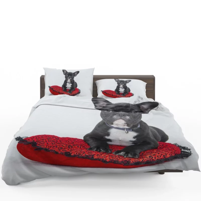 Bulldog Cozy Rest Cushioned Comfort Bedding Set