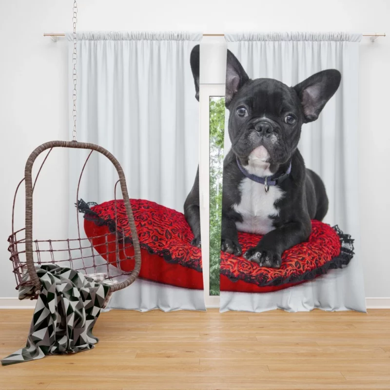 Bulldog Cozy Rest Cushioned Comfort Curtain