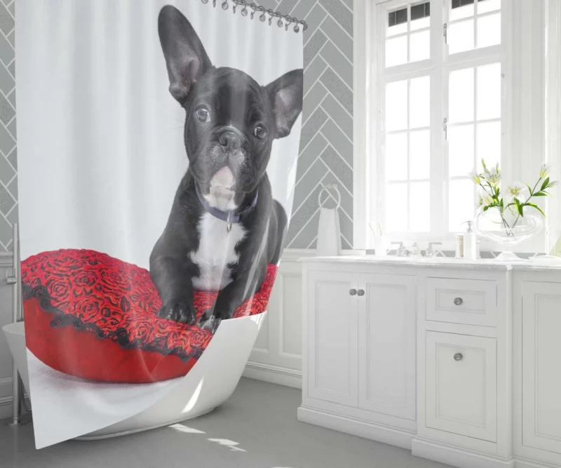 Bulldog Cozy Rest Cushioned Comfort Shower Curtain 1