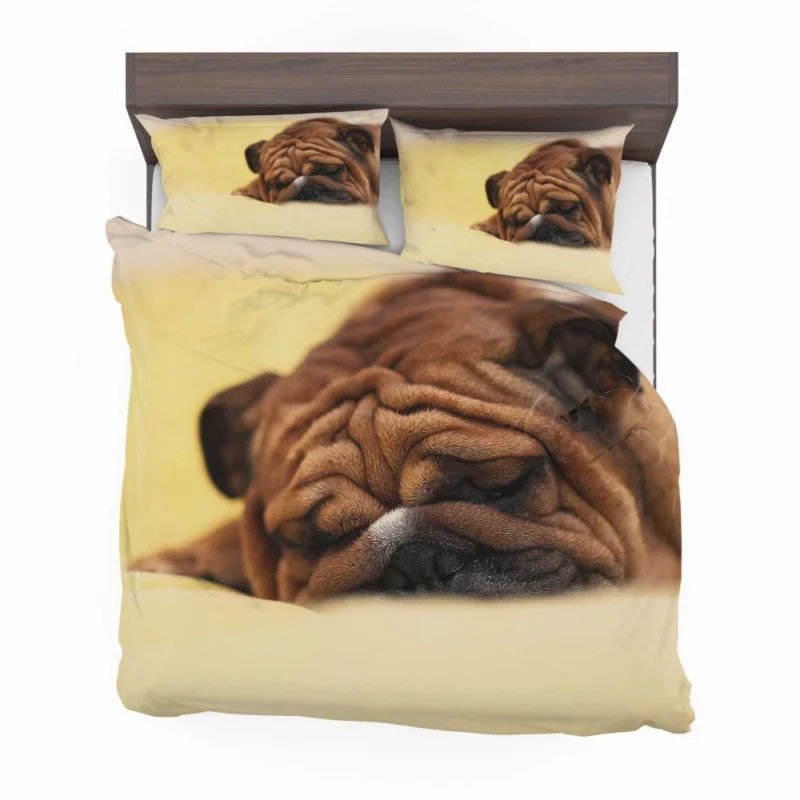 Bulldog Day Off Weary Yet Content Bedding Set 1