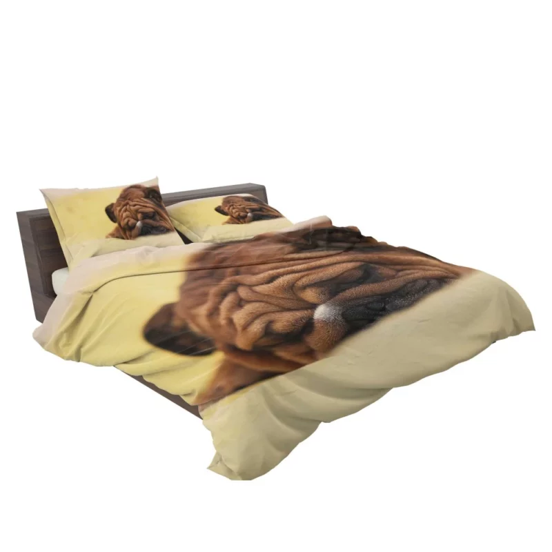 Bulldog Day Off Weary Yet Content Bedding Set 2