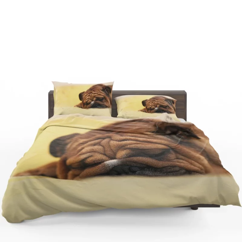 Bulldog Day Off Weary Yet Content Bedding Set