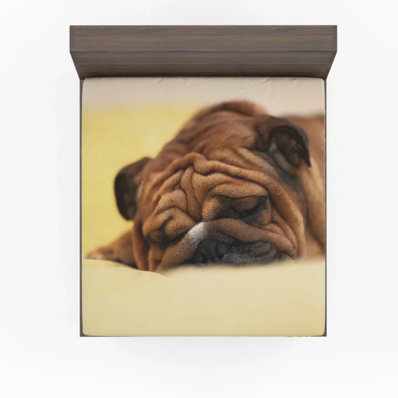 Bulldog Day Off Weary Yet Content Fitted Sheet 1