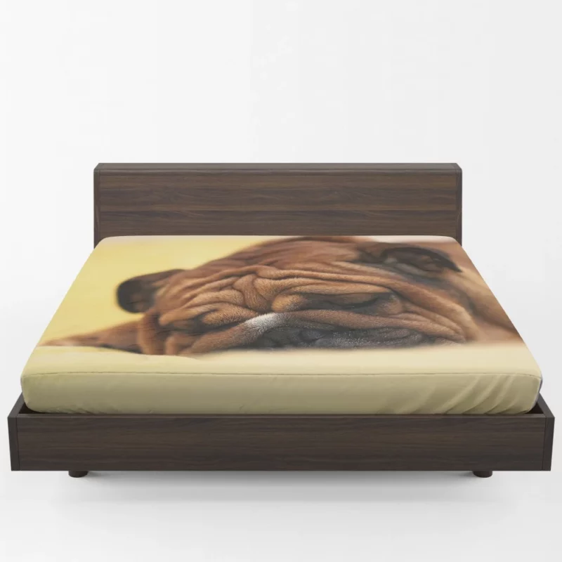 Bulldog Day Off Weary Yet Content Fitted Sheet