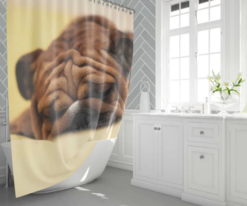 Bulldog Day Off Weary Yet Content Shower Curtain 1