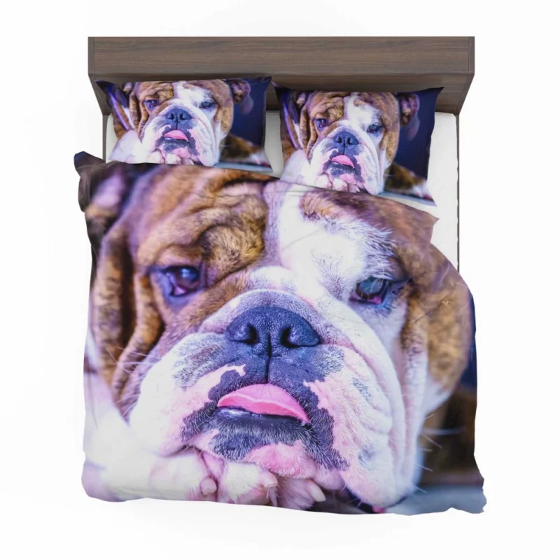 Bulldog Distinguished Muzzle Canine Charm Bedding Set 1