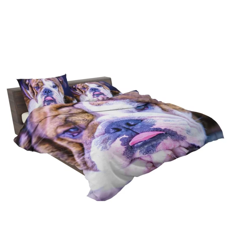 Bulldog Distinguished Muzzle Canine Charm Bedding Set 2