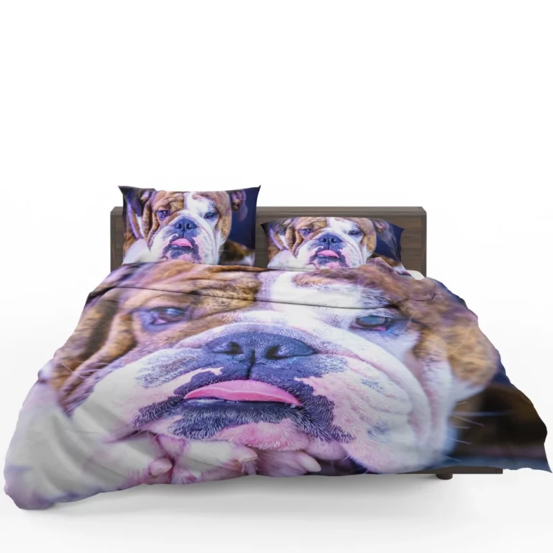 Bulldog Distinguished Muzzle Canine Charm Bedding Set