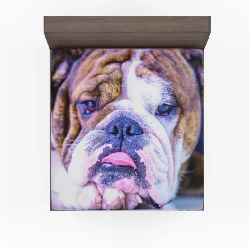 Bulldog Distinguished Muzzle Canine Charm Fitted Sheet 1