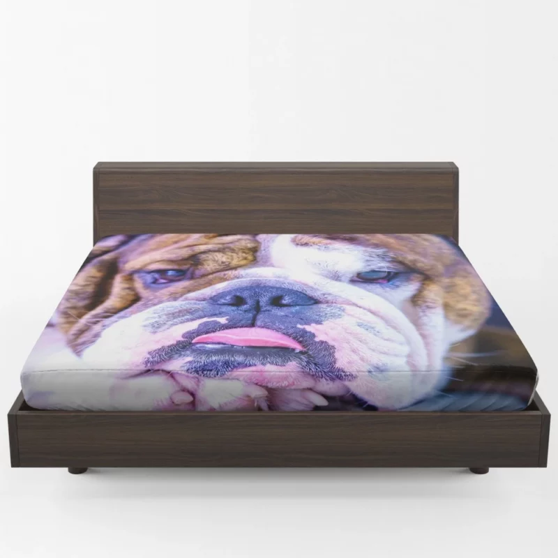 Bulldog Distinguished Muzzle Canine Charm Fitted Sheet