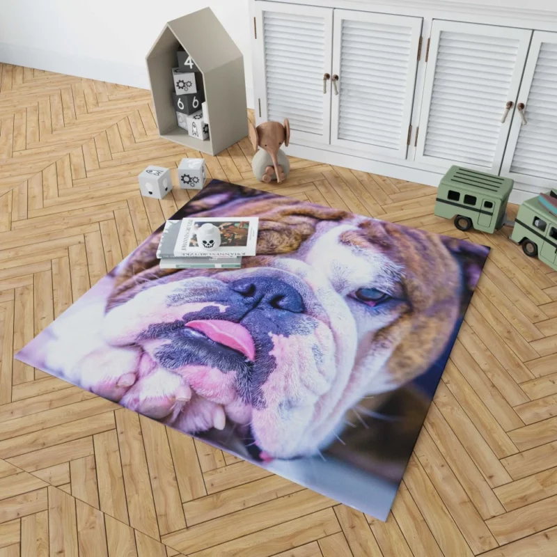 Bulldog Distinguished Muzzle Canine Charm Rug 1