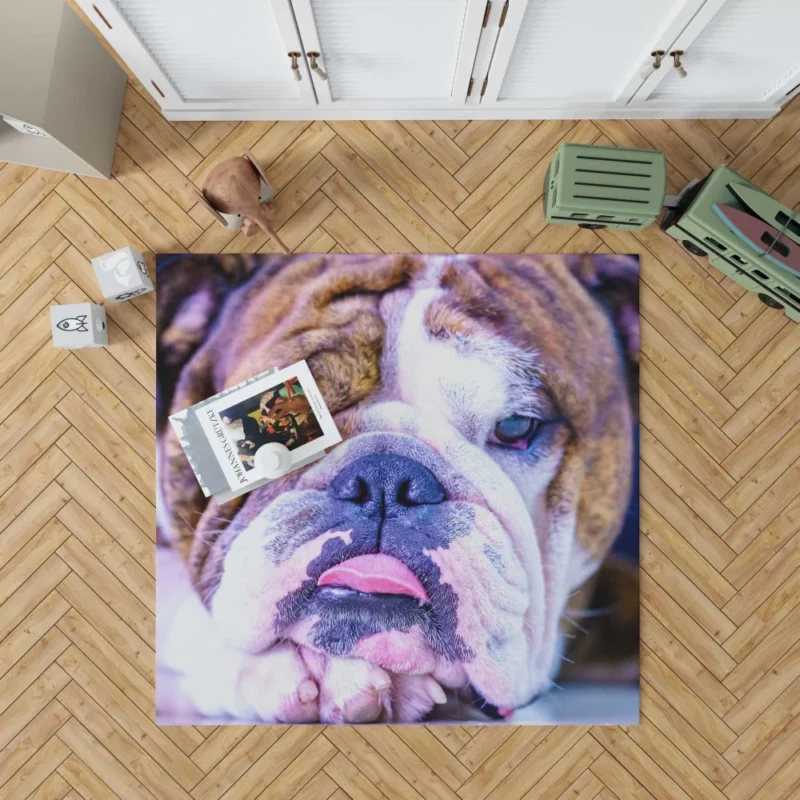 Bulldog Distinguished Muzzle Canine Charm Rug