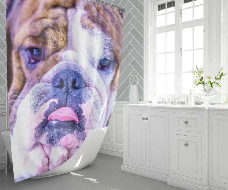 Bulldog Distinguished Muzzle Canine Charm Shower Curtain 1