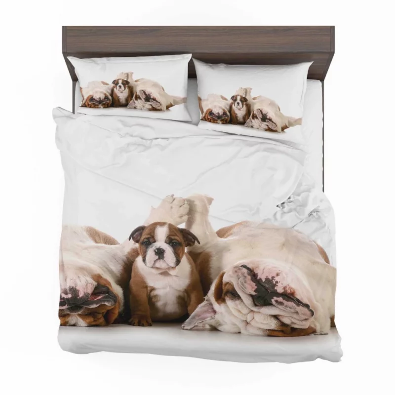 Bulldog Puppies Cute Slumber Party Bedding Set 1