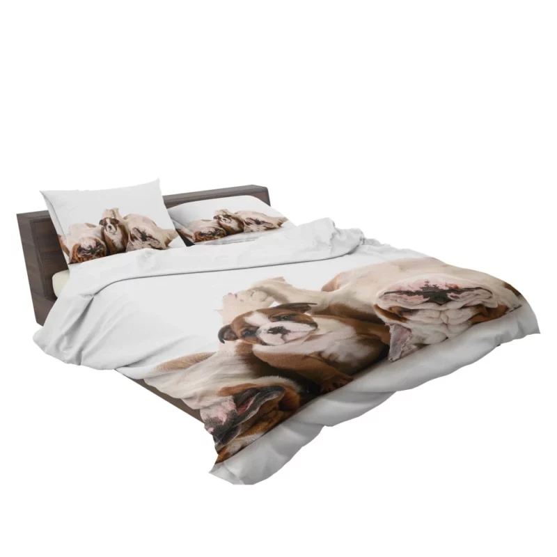 Bulldog Puppies Cute Slumber Party Bedding Set 2