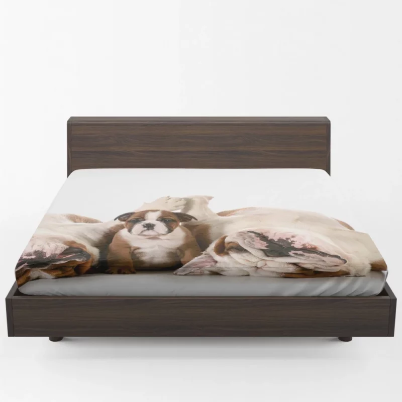 Bulldog Puppies Cute Slumber Party Fitted Sheet