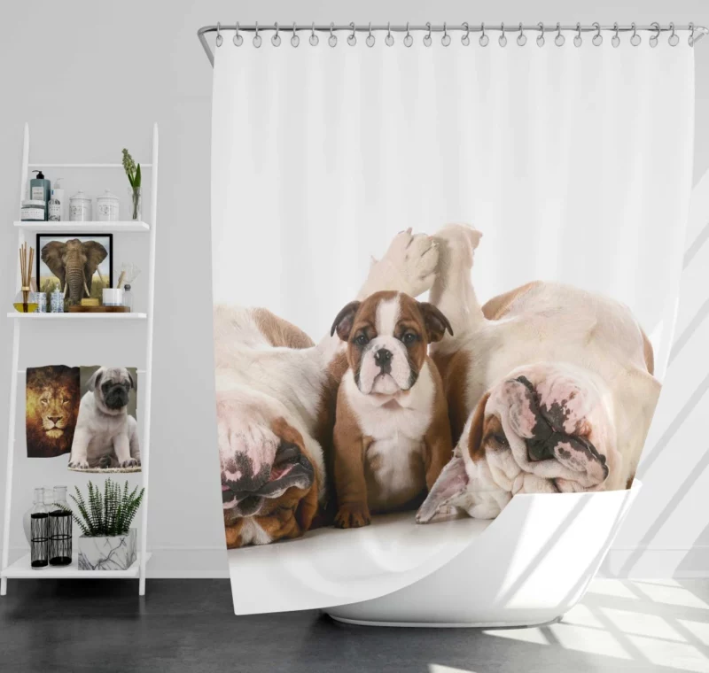 Bulldog Puppies Cute Slumber Party Shower Curtain