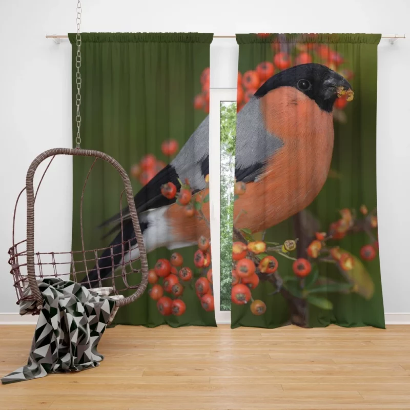 Bullfinch Berry Feast Colorful Delight Curtain