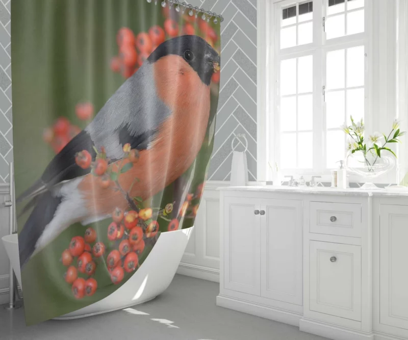 Bullfinch Berry Feast Colorful Delight Shower Curtain 1