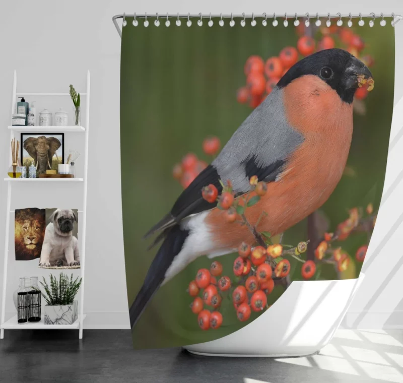 Bullfinch Berry Feast Colorful Delight Shower Curtain