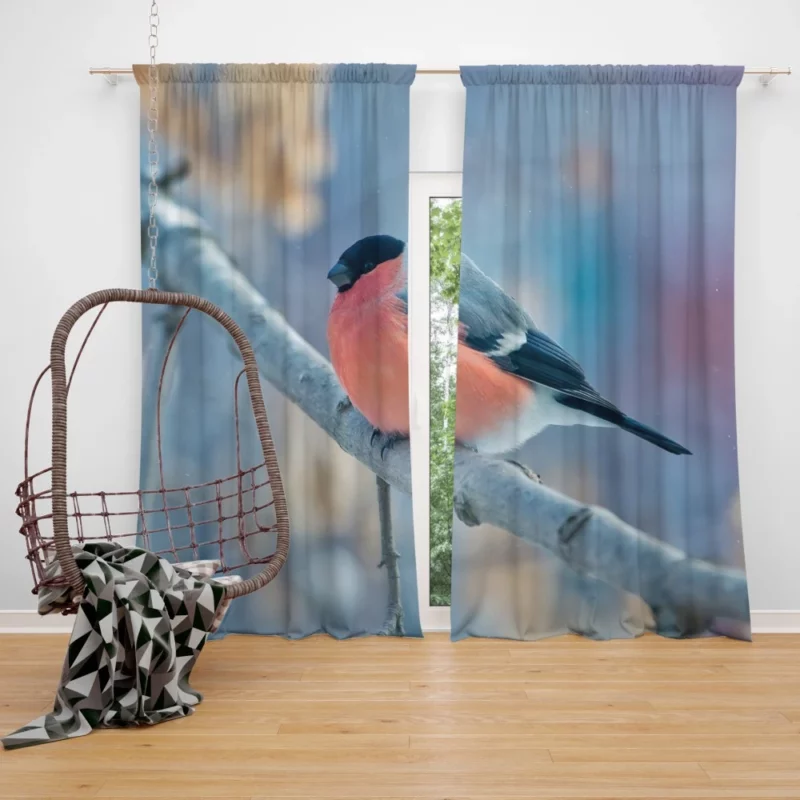 Bullfinch Winter Feast Berry Delight Curtain