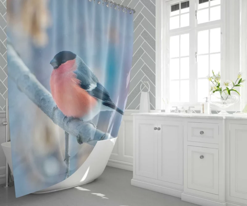 Bullfinch Winter Feast Berry Delight Shower Curtain 1