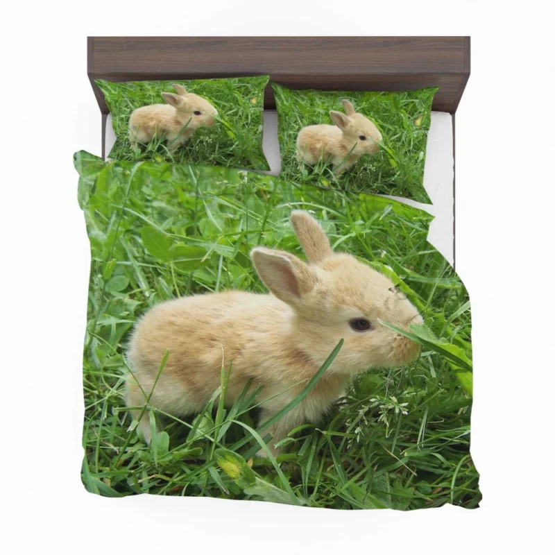 Bunny Meadow Adventure Whimsical Charm Bedding Set 1