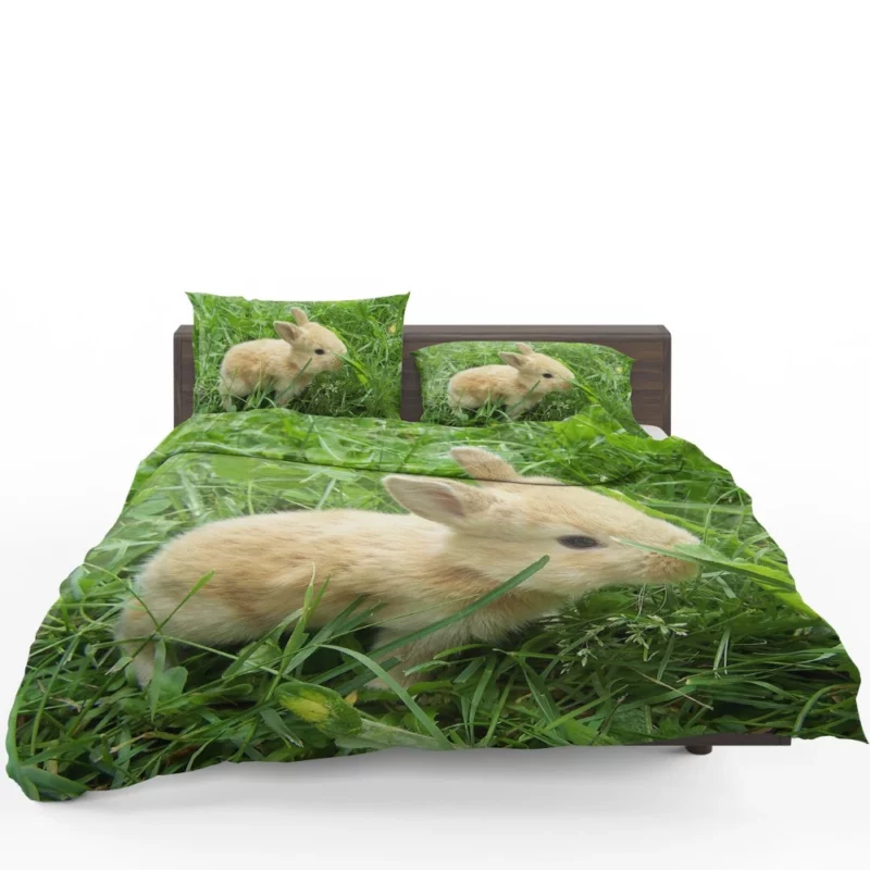 Bunny Meadow Adventure Whimsical Charm Bedding Set