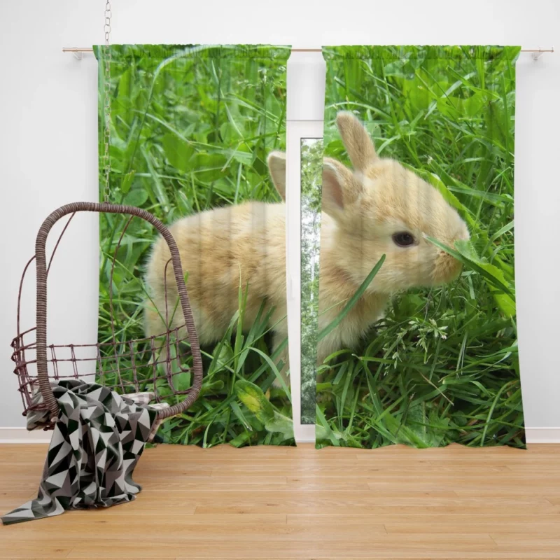 Bunny Meadow Adventure Whimsical Charm Curtain