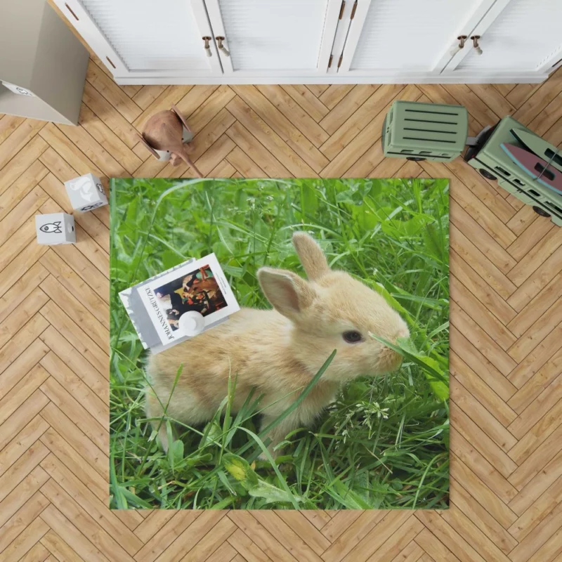 Bunny Meadow Adventure Whimsical Charm Rug