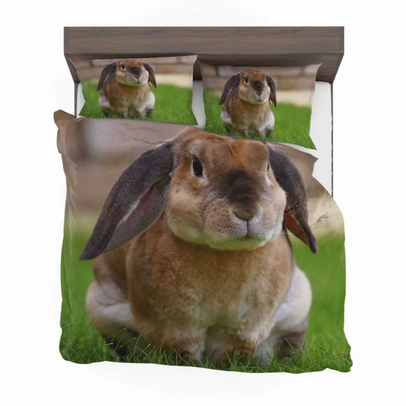 Bunny Rabbit Cute Curiosity Innocent Play Bedding Set 1