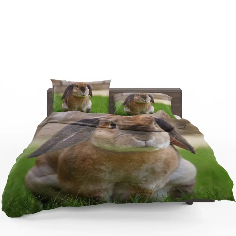 Bunny Rabbit Cute Curiosity Innocent Play Bedding Set