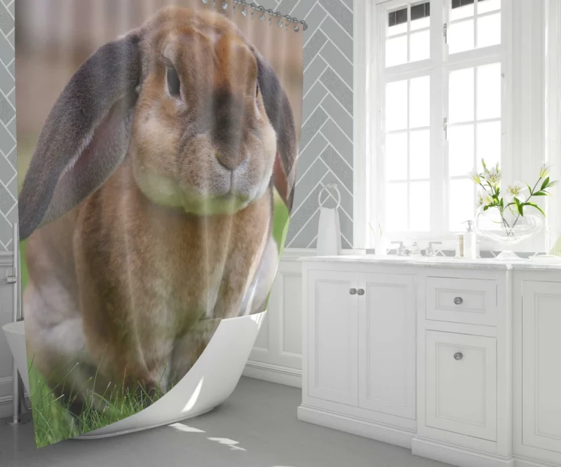 Bunny Rabbit Cute Curiosity Innocent Play Shower Curtain 1