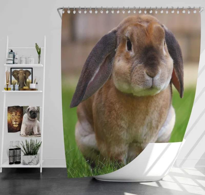 Bunny Rabbit Cute Curiosity Innocent Play Shower Curtain