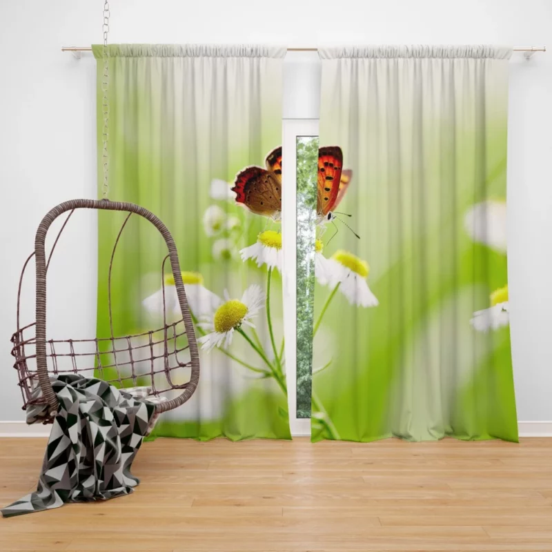 Butterfly Alighting on White Daisies Curtain