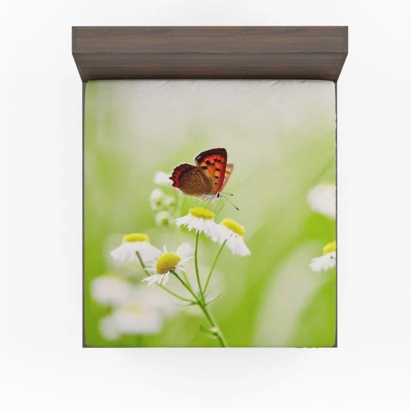 Butterfly Alighting on White Daisies Fitted Sheet 1