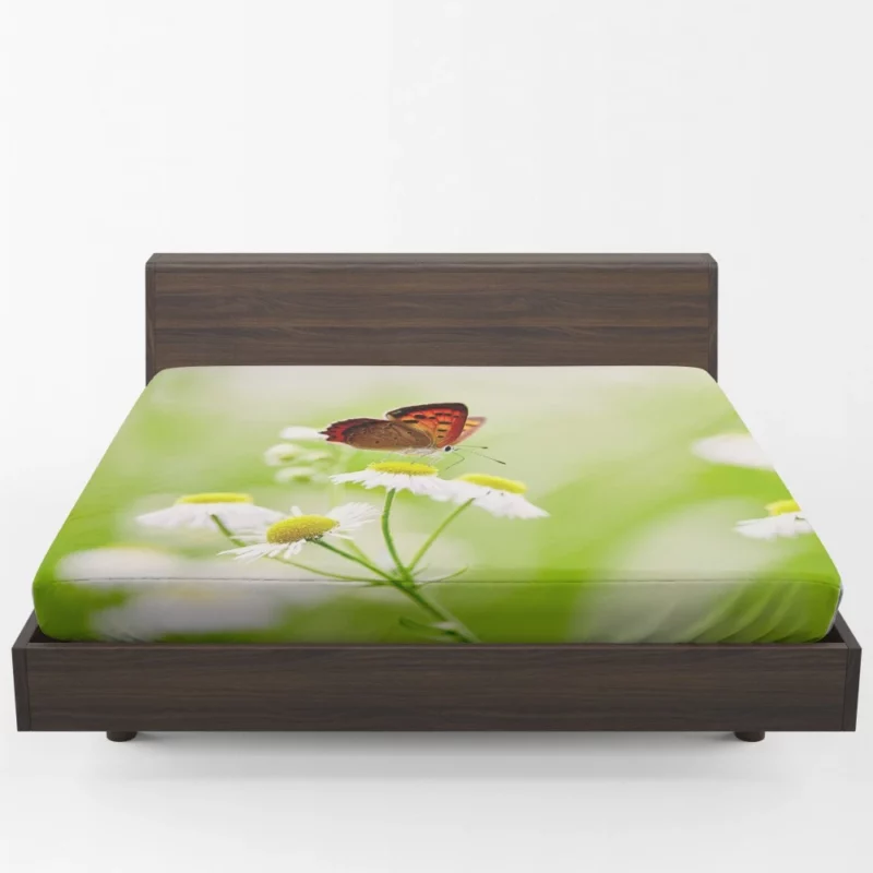 Butterfly Alighting on White Daisies Fitted Sheet