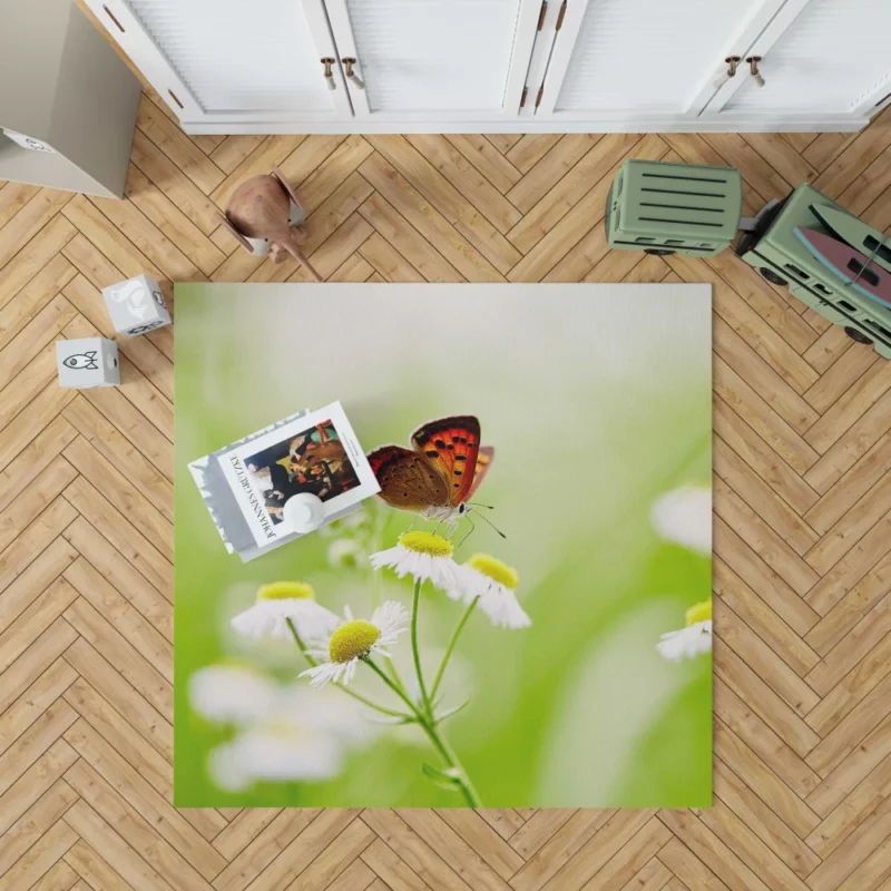 Butterfly Alighting on White Daisies Rug