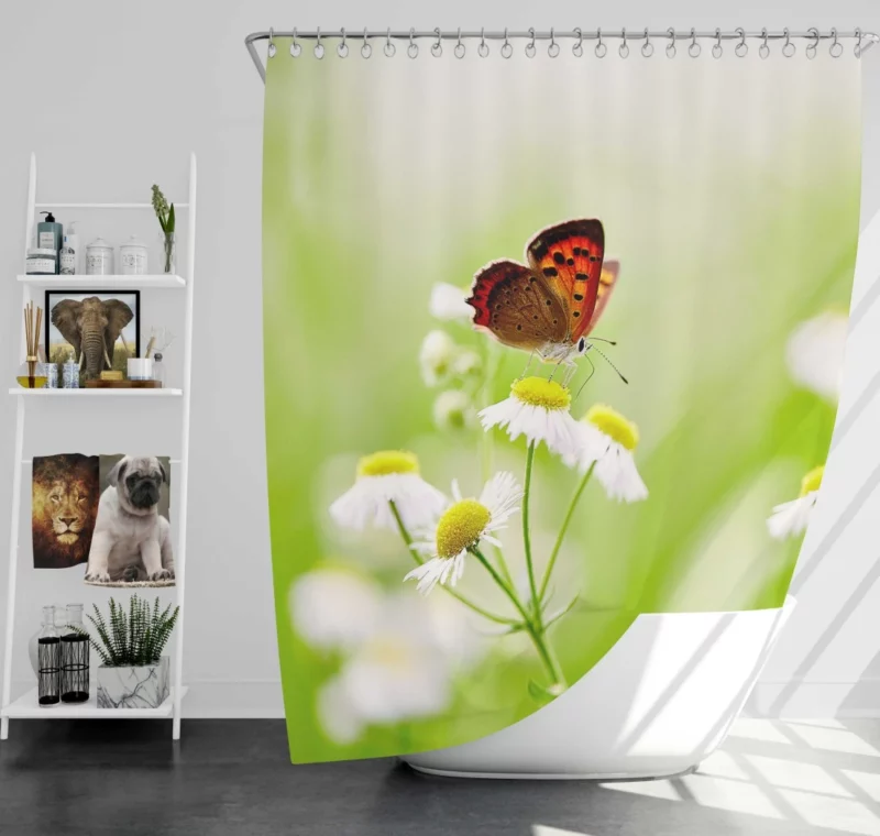 Butterfly Alighting on White Daisies Shower Curtain