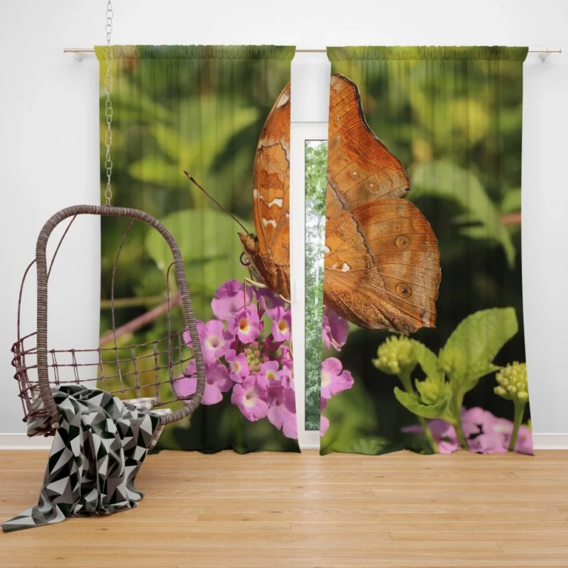 Butterfly Amidst Autumn Floral Beauty Curtain