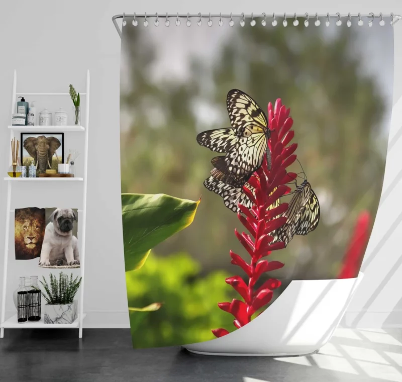 Butterfly Among Flowers Shower Curtain