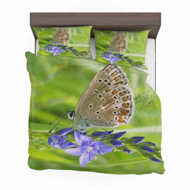 Butterfly Beauty Nature Artistry Bedding Set 1