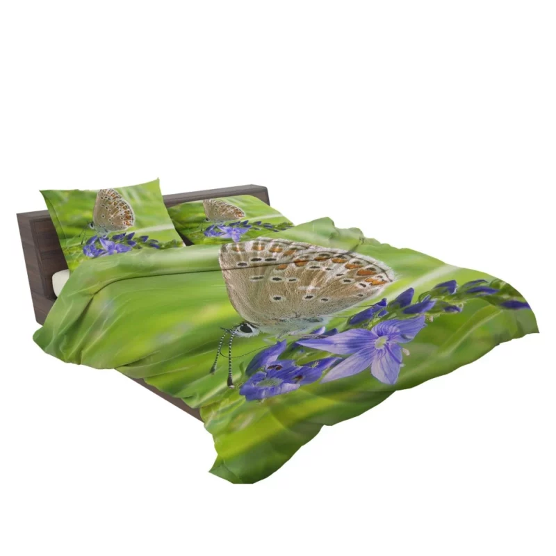 Butterfly Beauty Nature Artistry Bedding Set 2