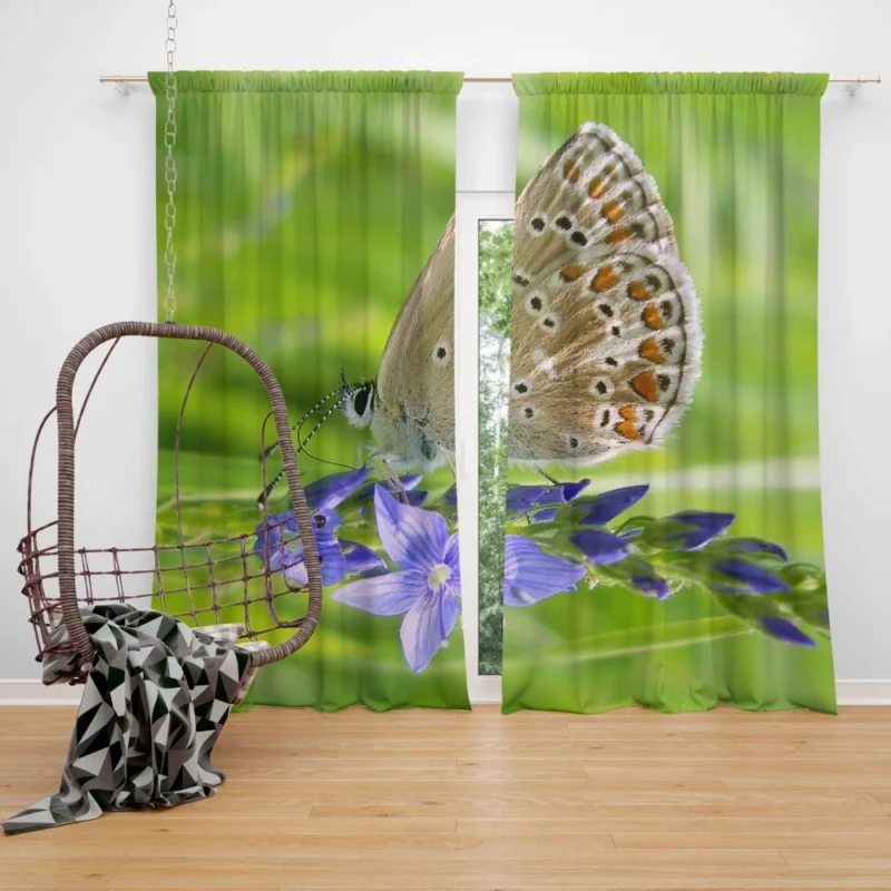 Butterfly Beauty Nature Artistry Curtain