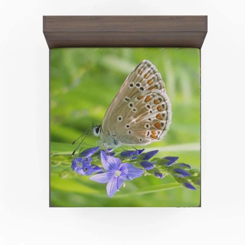 Butterfly Beauty Nature Artistry Fitted Sheet 1