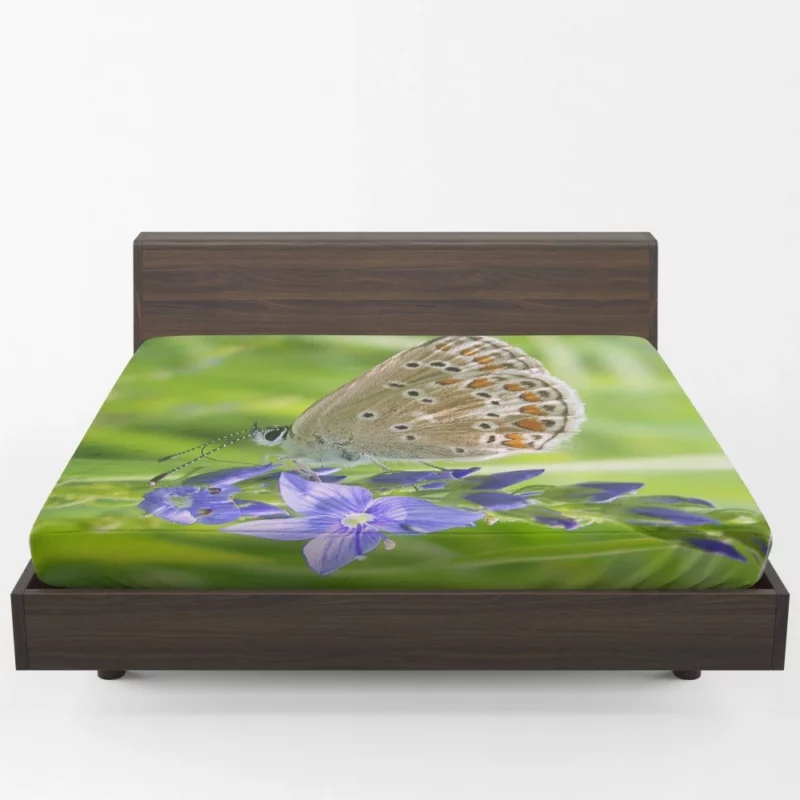 Butterfly Beauty Nature Artistry Fitted Sheet