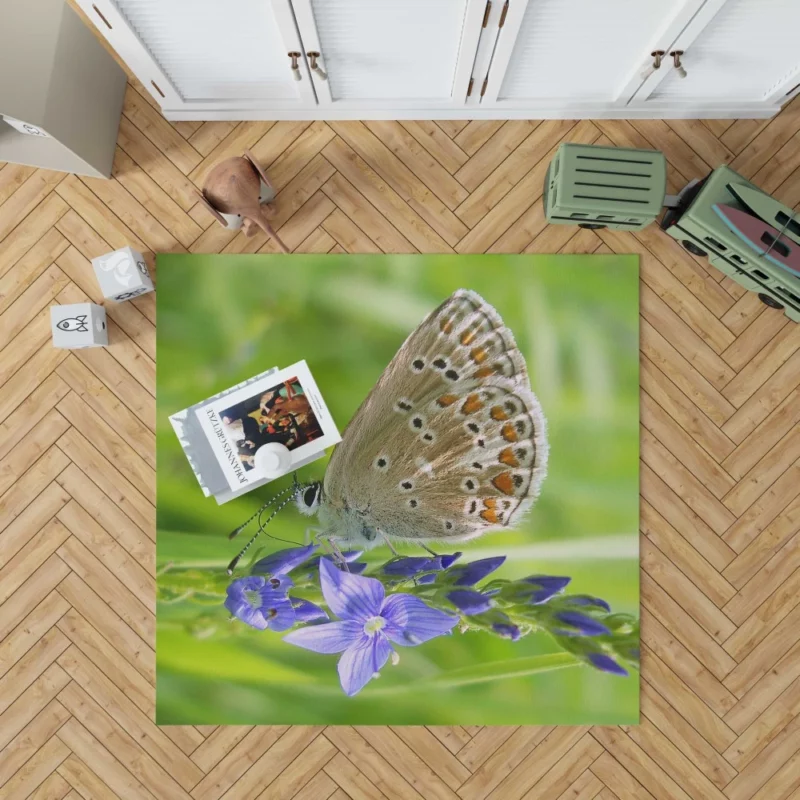 Butterfly Beauty Nature Artistry Rug