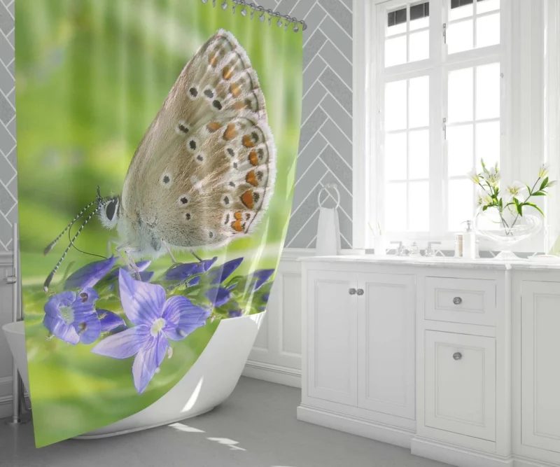 Butterfly Beauty Nature Artistry Shower Curtain 1