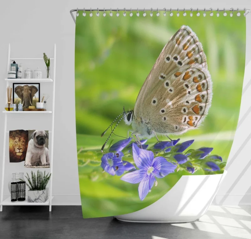 Butterfly Beauty Nature Artistry Shower Curtain