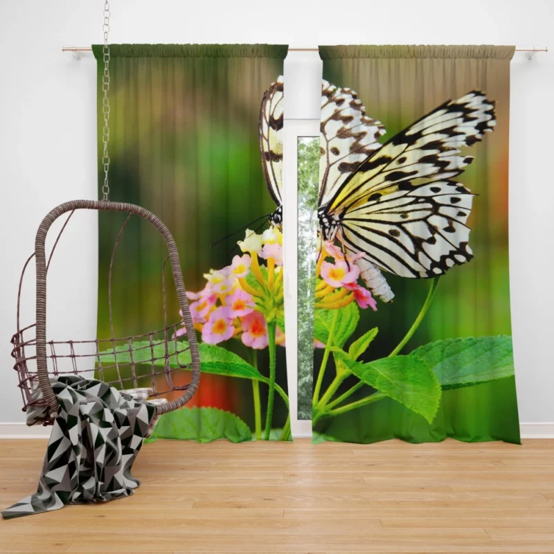 Butterfly Beauty Nature Elegance Curtain